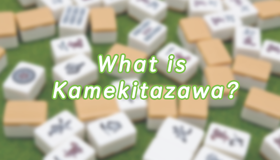 what is kamekitazawa?